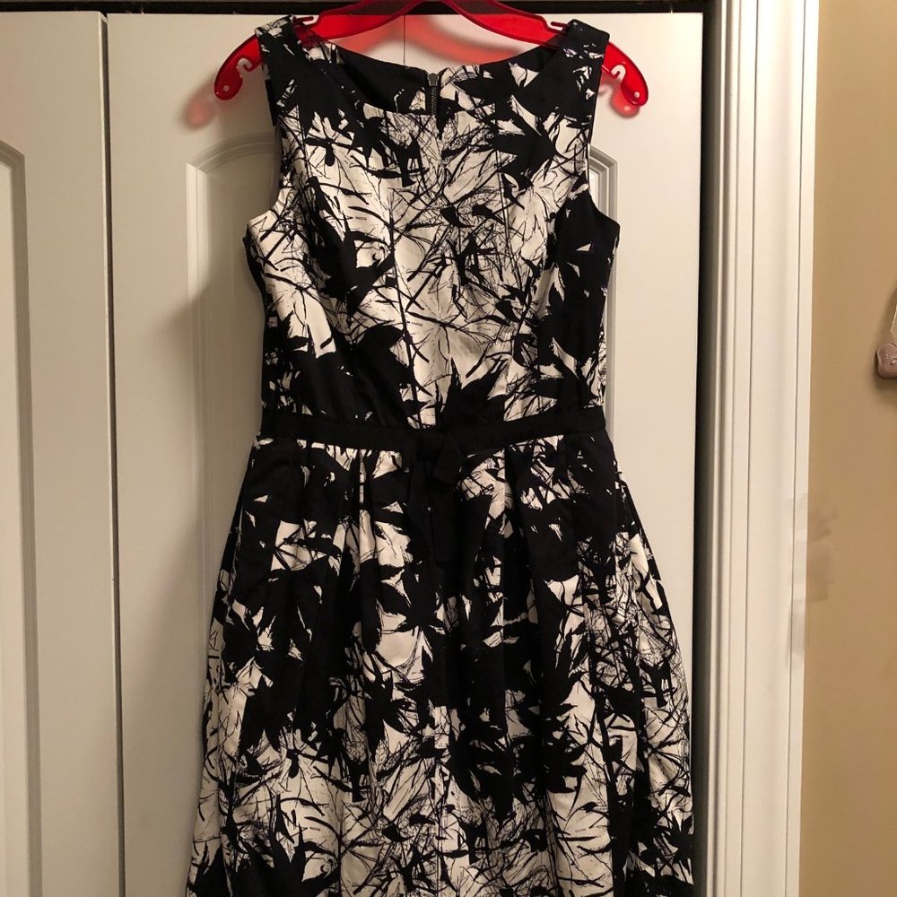 Taylor Splatter Fit and Flare Dress